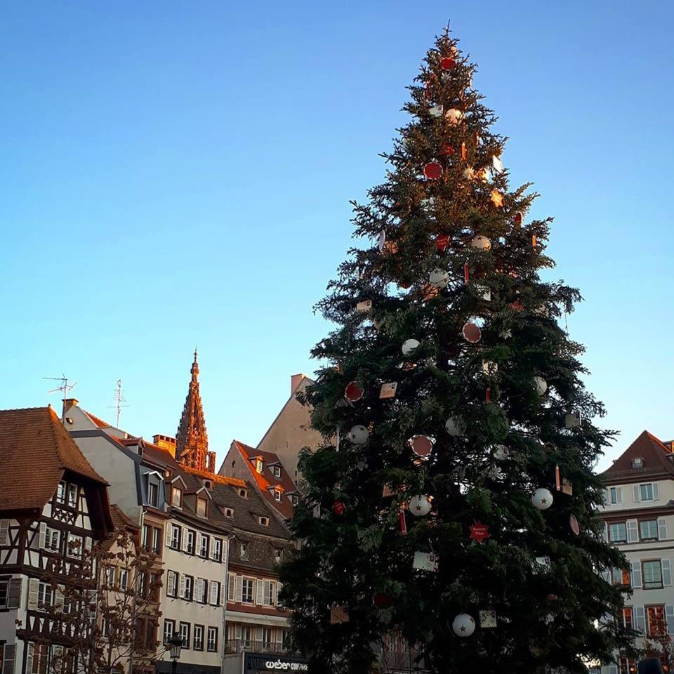 Premiere Classe Strasbourg Sud - Illkirch Buitenkant foto